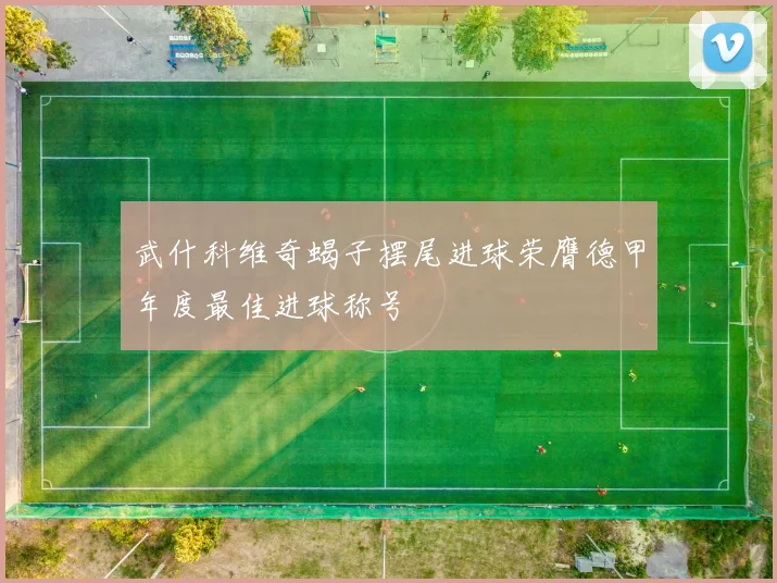 武什科维奇蝎子摆尾进球荣膺德甲年度最佳进球称号